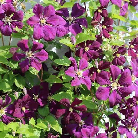 Fewo Johan - Ideal Fuer 1-2 Personen, Eigene Terrasse ฮัมม์ ภายนอก รูปภาพ
